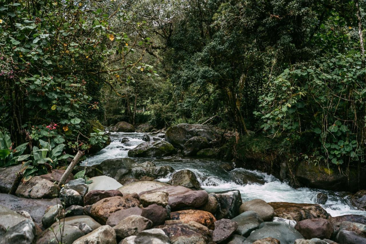 Trogon Lodge San Gerardo de Dota Exterior photo