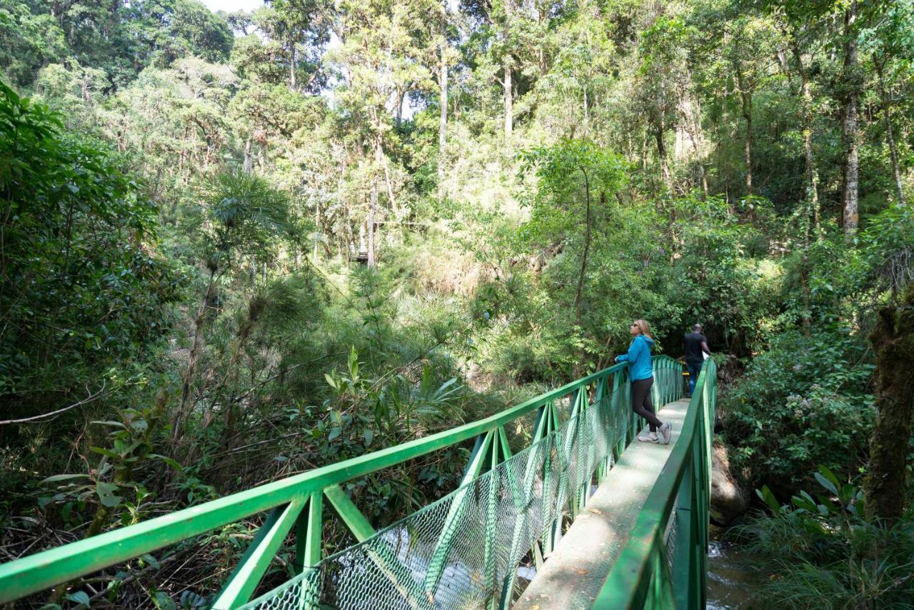 Trogon Lodge San Gerardo de Dota Exterior photo