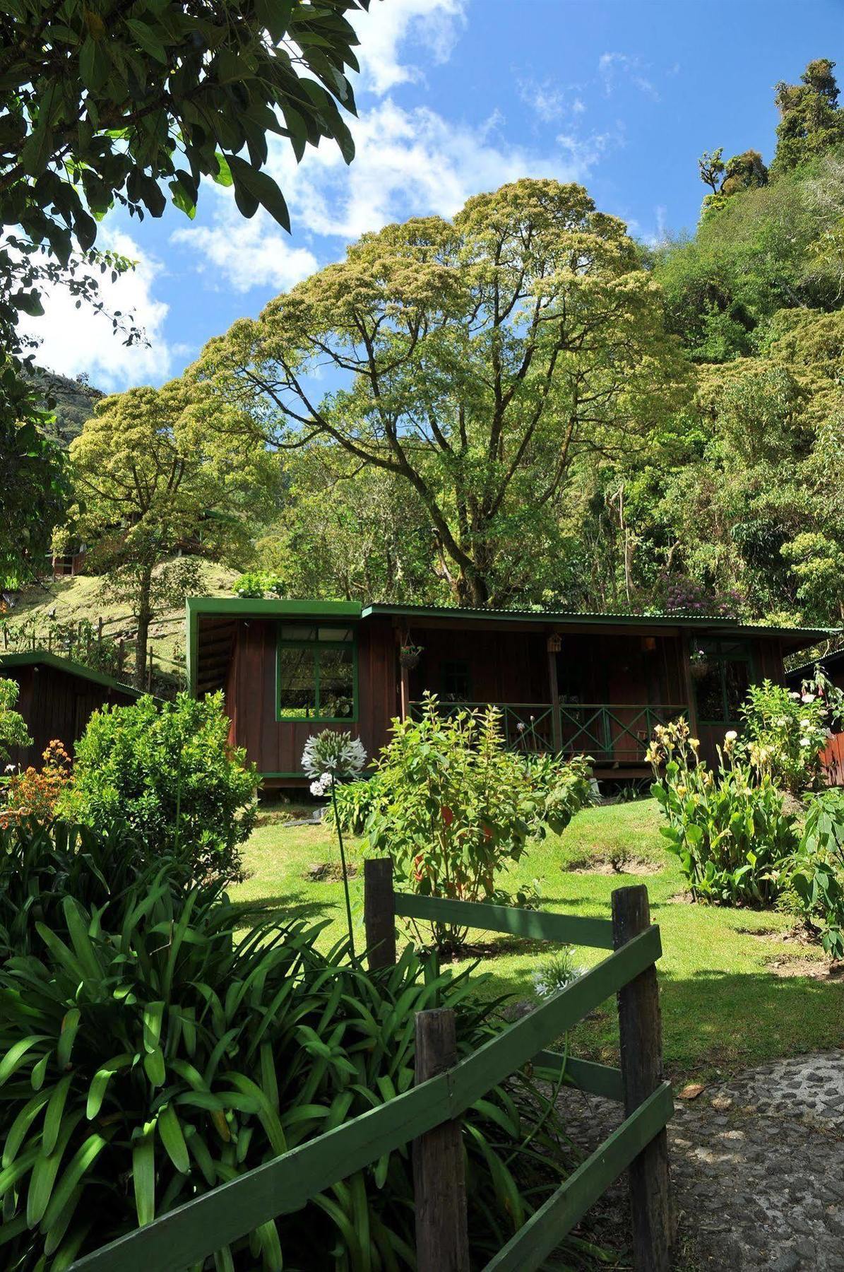 Trogon Lodge San Gerardo de Dota Exterior photo